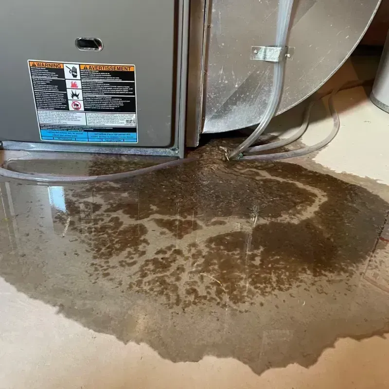 Appliance Leak Cleanup in McCracken County, KY